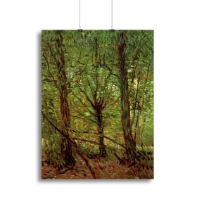 Trees and Undergrowth by Van Gogh Canvas Print or Poster (type: Poster Print, size: 24" x 16" / 60cm x 40cm (approx))