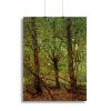 Trees and Undergrowth by Van Gogh Canvas Print or Poster