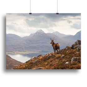Wild stag overlooking Loch Torridon Canvas Print or Poster (type: Poster Print, size: 32" x 24" / 80cm x 60cm (approx))